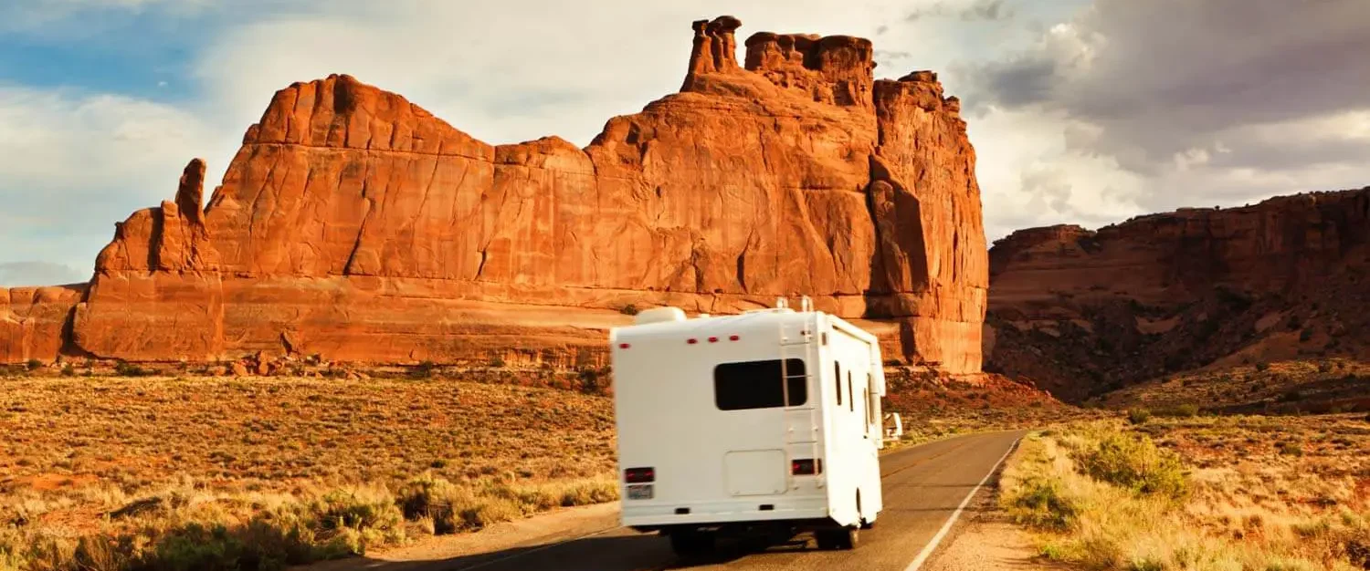 Emil, Lorenz, Alex und Hoppel in den USA